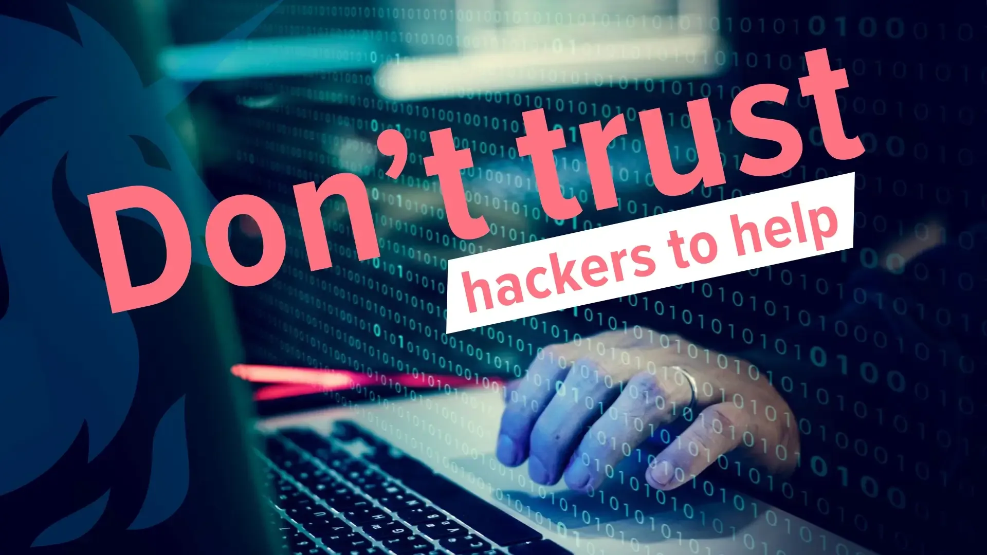 Ransomware gangs are fighting. You still lose.