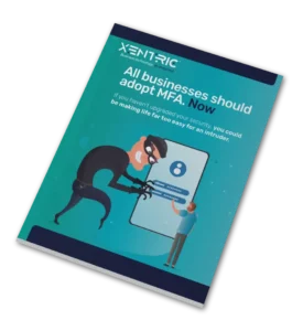 MFA guide ebook