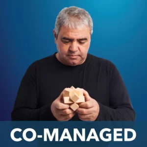 Co-Managed IT Services